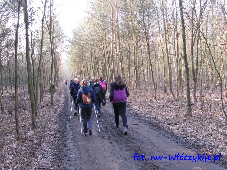 Włóczykije w Śnieżycowym Jarze. fot. nw-wloczykije.pl